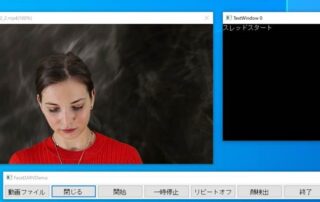 顔認証システムFaceDRAV動画ファイル