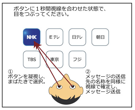 視線追跡　眼追跡　アイトラッキング　システム