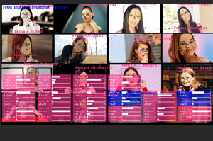 オンライン会議の顔・感情・向き・性別を認識